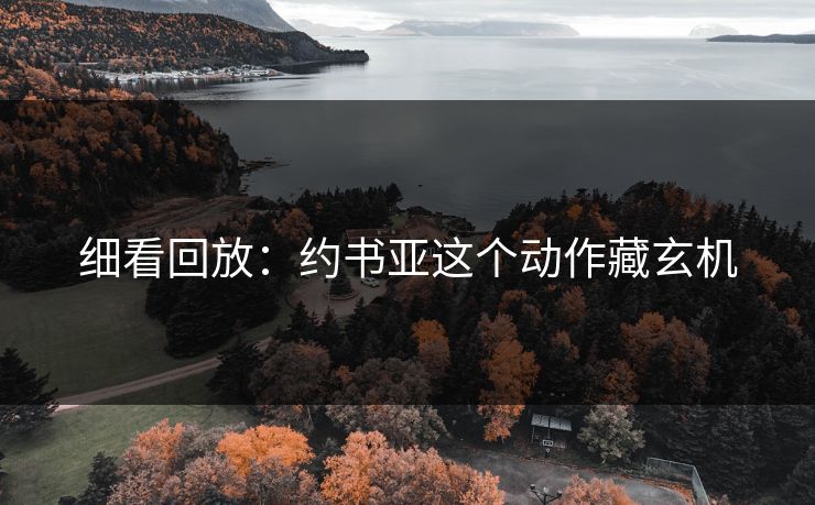 细看回放:约书亚这个动作藏玄机 细看回放:约书亚这个动作藏玄机