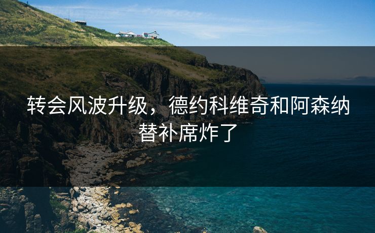 转会风波升级，德约科维奇和阿森纳替补席炸了