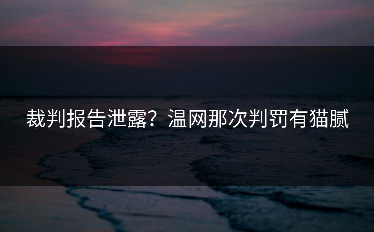 裁判报告泄露？温网那次判罚有猫腻