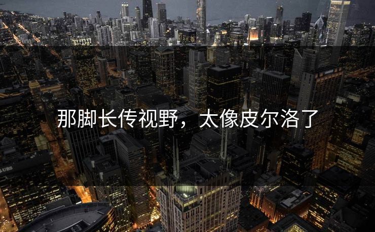 那脚长传视野,太像皮尔洛了 那脚长传视野,太像皮尔洛了