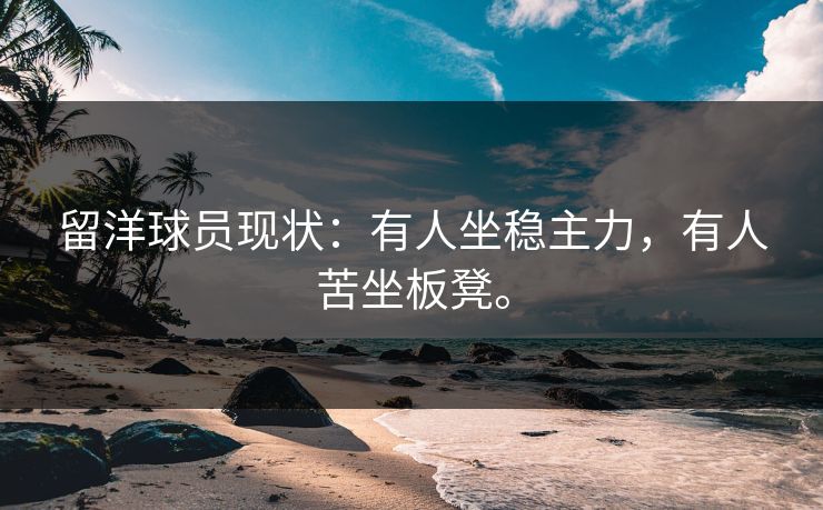 留洋球员现状：有人坐稳主力，有人苦坐板凳。